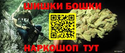 спиды Камышлов