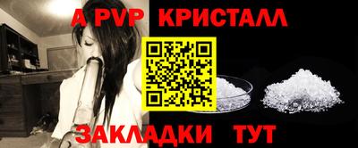 спиды Камышлов