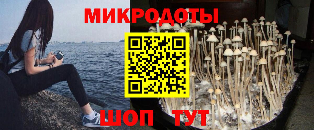 Галлюциногенные грибы прущие грибы  Вход с VPN  Псилоцибиновые грибы Magic Shrooms  Кандалакша 